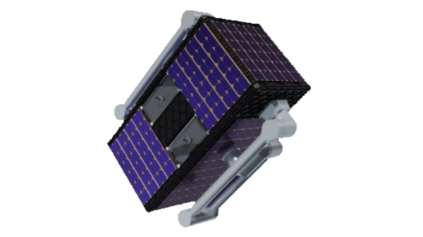 Illustration of the ROAMER microsatellite.