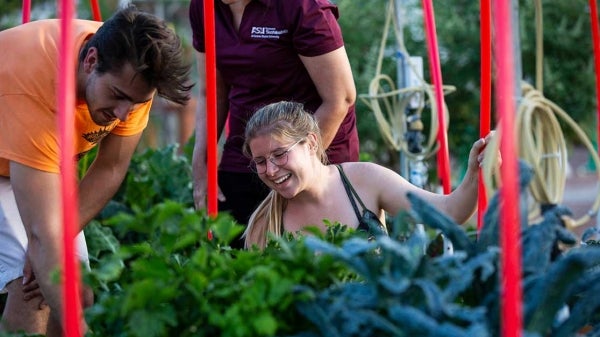 Students work in a garden