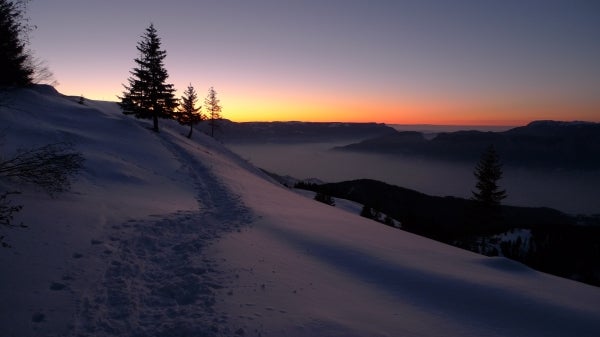 snowy trail