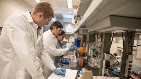 Justin Skinner, Aide Robles and Evelyn Miranda working in a lab