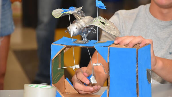 Hands holding a robotic bird with flapping wings.