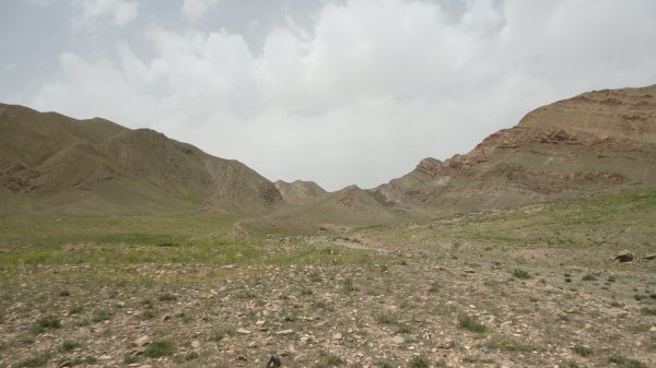 Field view from Iran where samples were collected for this study