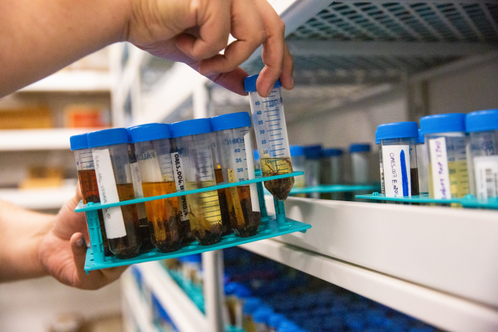 A hand lifting a vile sample out of a tray