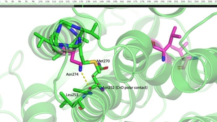 Homology model of the 7-DHC including mutations.