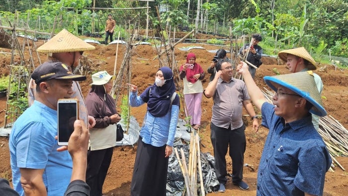 A group of people look around at an agricultural site in Indonesia.