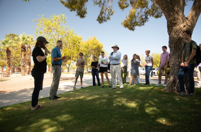 ASU, Chandler partnership brings sustainability to local parks, real-world experience to students