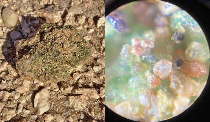 View of a hypolith community through a microscope with green cyanobacteria on surface of sand and rock grains.