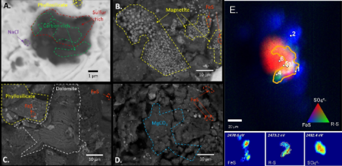 (A) Electron microprobe image shows the thiosulfate grain found in Ryugu particle A0070. (B-D) Other minerals such as magnetite and carbonates were detected in Ryugu particle A0070. (E) X-ray fluorescence image of sulfate-rich grain (in A) with thiol coating; red indicates sulfate, blue is sulfide, green is the thiol-rich region. 