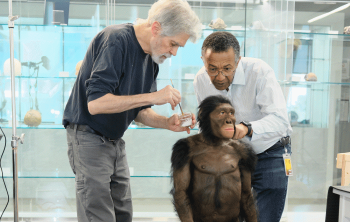 Two men examine a re-creation of the Lucy hominid