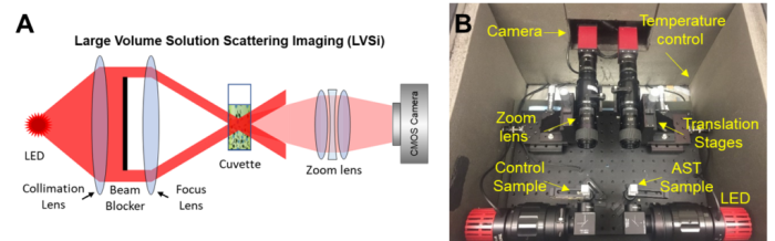 Right: A large volume solution scattering imaging, or LVSi, uses an LED light source, a collimation lens, a beam blocker, and a focus lens to examine a urine sample containing E. coli bacteria. Left: A camera captures the experiment in real time, recording the bacterial activity.