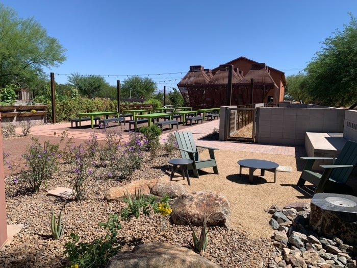 A desert landscape garden with benches and lounge chairs for seating