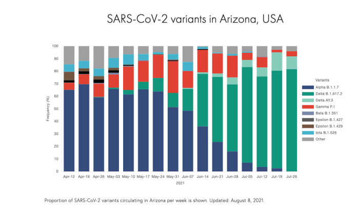 Illustration of SARS-CoV-2 variants in Arizona, USA