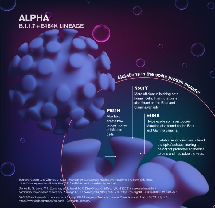 map describing Alpha B.1.1.7 + E484K Lineage