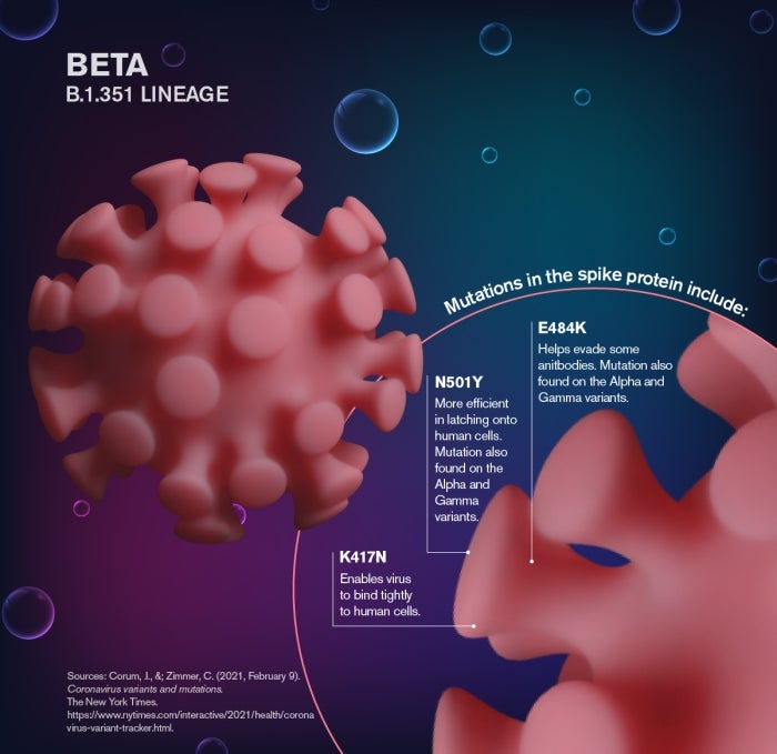 map describing Beta B.1.351 Lineage