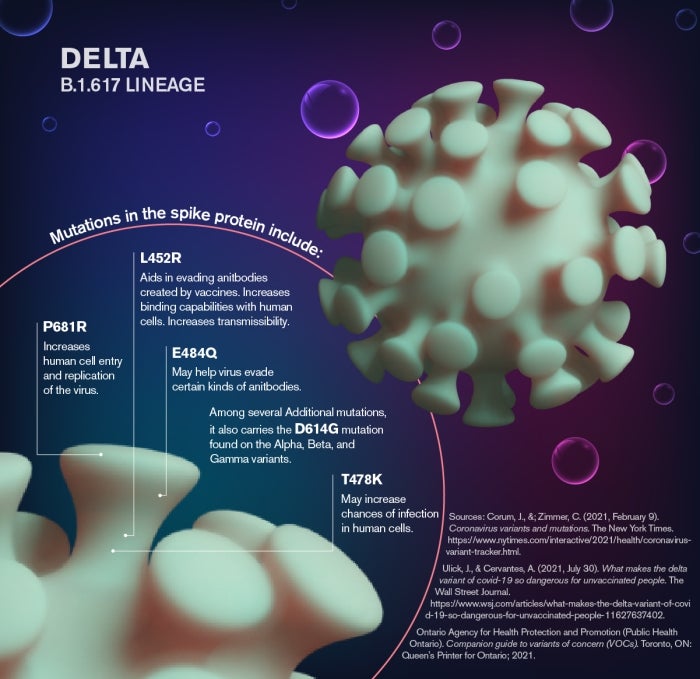 map describing Delta B.1.6.17 Lineage