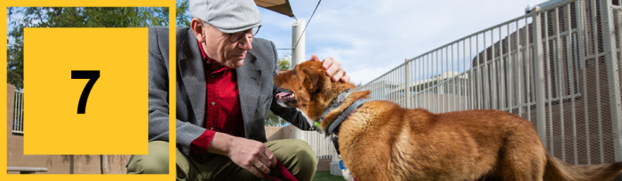 Man squats down to pet his dog.