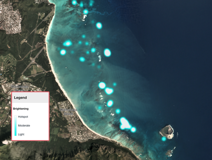 Waimanalo bleaching image