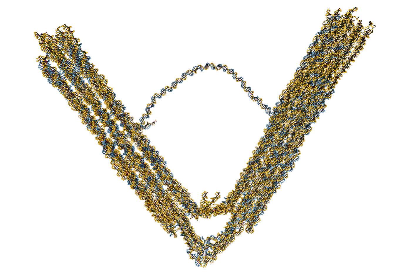 Leaf-spring nano engine as simulated in oxDNA model