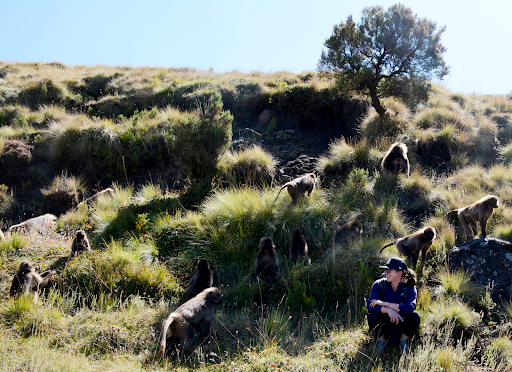 India Schneider-Crease in the Simien Mountains National Park 