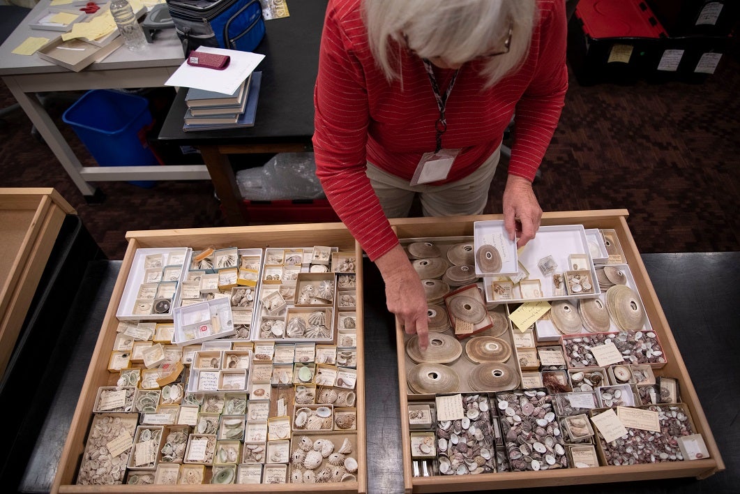 Arizona State University Natural History Collections