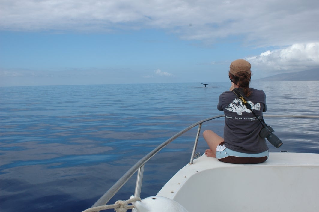 ASU Professor Leah Gerber whale watching.