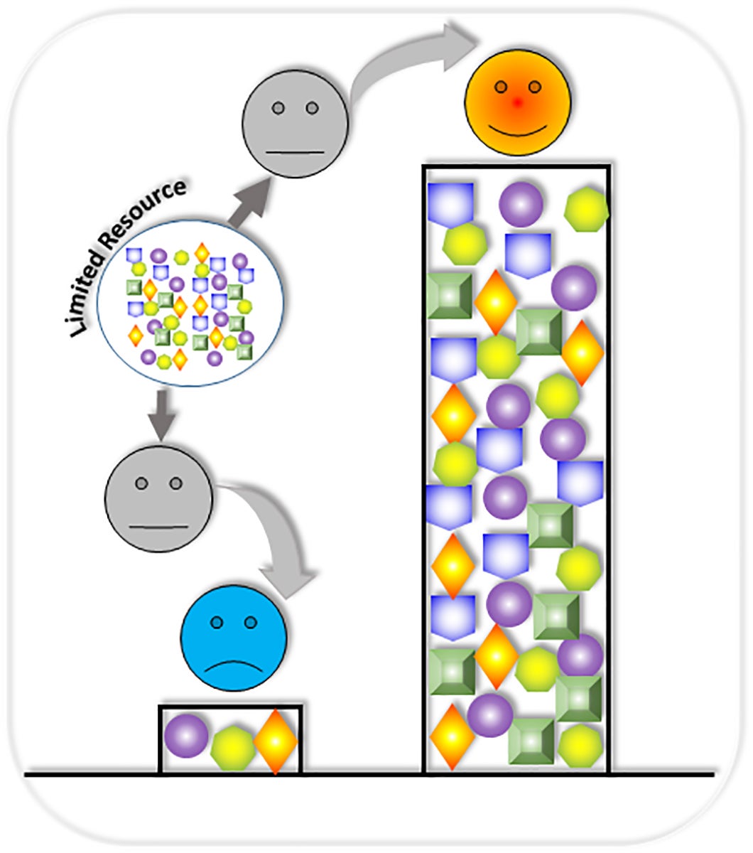 Novel synthetic gene circuits within one host cell