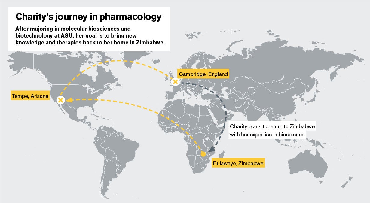 Map showing a student journey across the globe